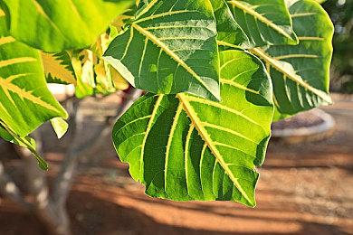 PS港服商店开启追加内容优惠 多款大作DLC折扣低至3折